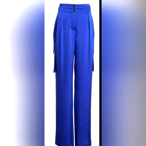 RAMY BROOK Blue Rumer Wide Leg Cargo Pants Sz 12 NWT - Picture 1 of 10